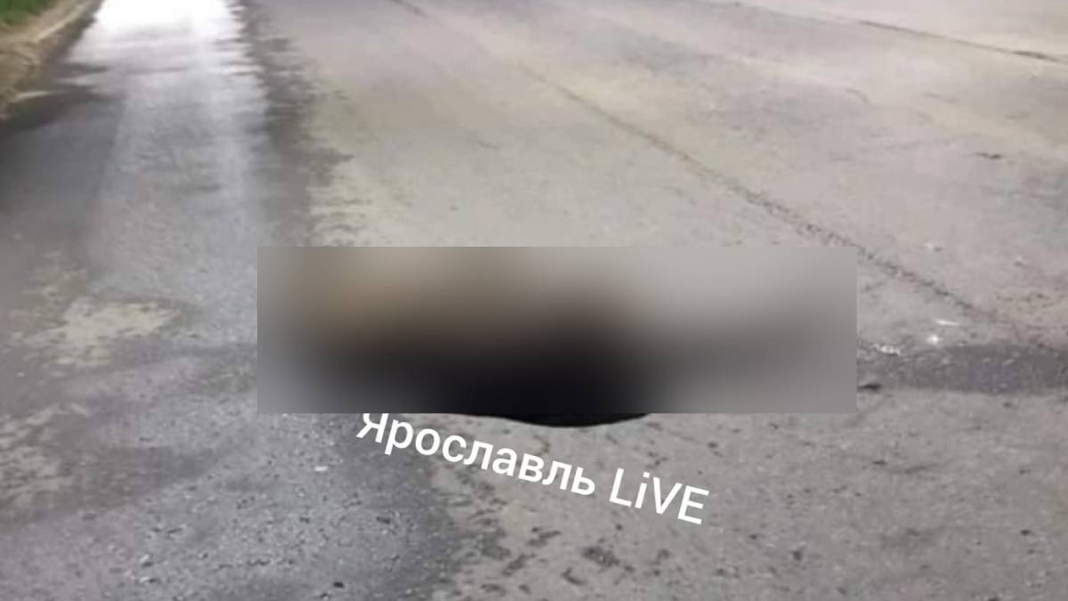 Сбили лося