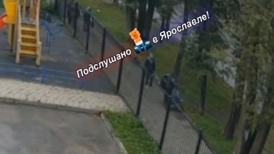 В Ярославле прохожий ударил пожилую женщину