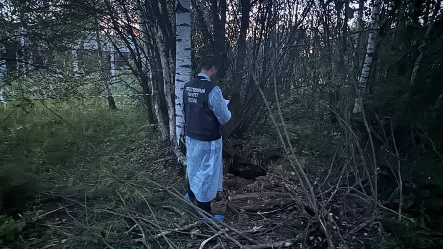 В Ярославской области в суд передано дело о гибели ребенка в колодце