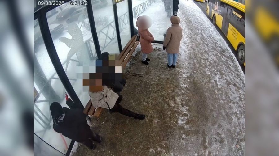 В Ярославле полиция установила личность разбившего стекло остановки вандала