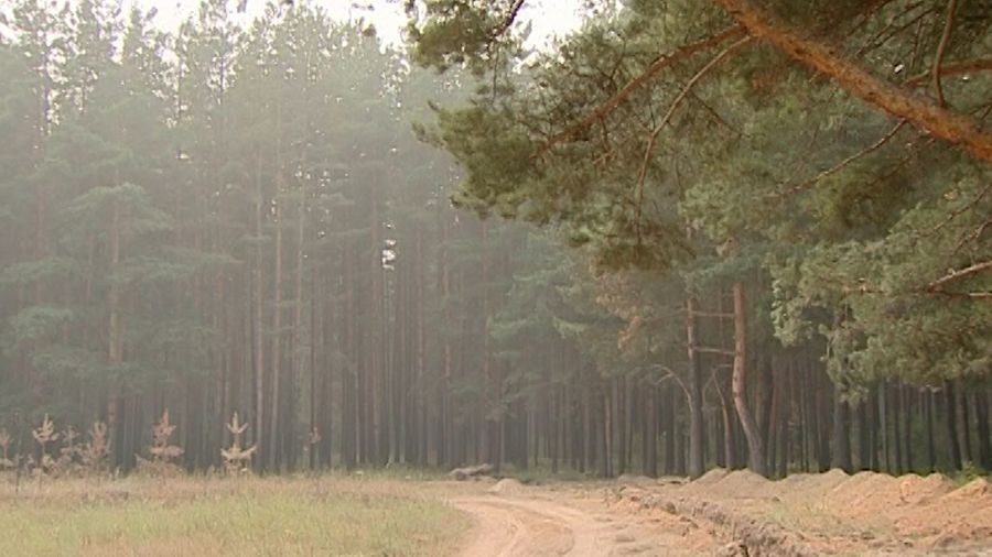 В Ярославской области введен 4 класс пожарной опасности