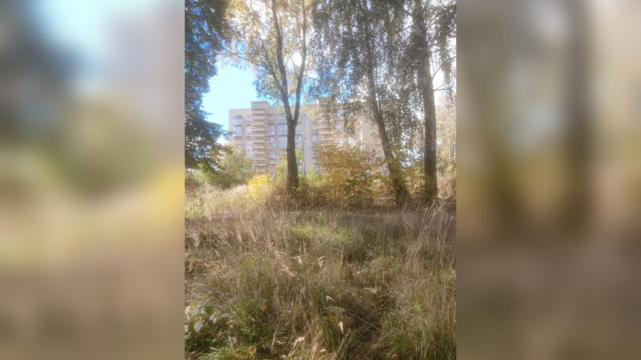 В Минприроды региона назвали причины неприятного запаха в Ярославле