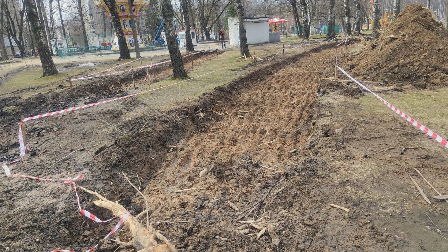 Состояние деревьев в Юбилейном парке Ярославля проверил наблюдательный совет
