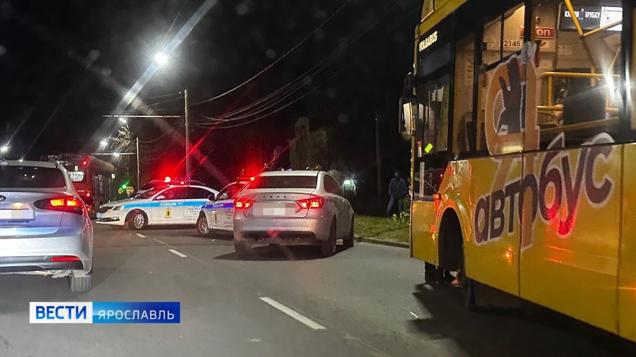 В Ярославле при задержании нетрезвого водителя пострадали два инспектора ГИБДД