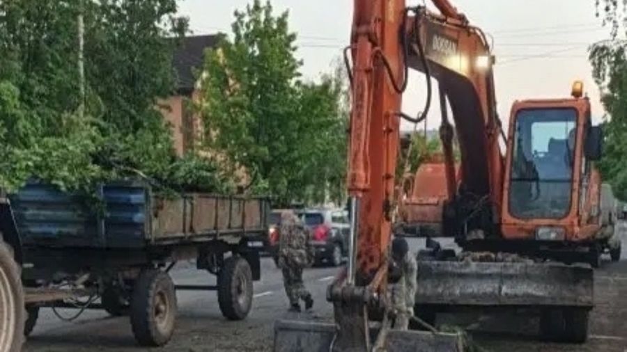 Упавшие деревья и отключения электричества: в Угличском округе устраняют последствия непогоды