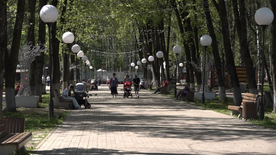 Скидки на аттракционы в Ярославле: появилась новая льготная категория