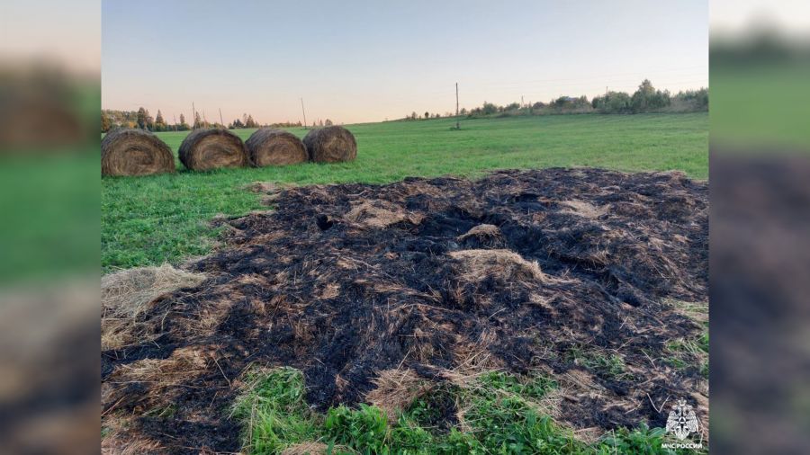 Пожар в поле в Некрасовском округе мог произойти из-за поджога
