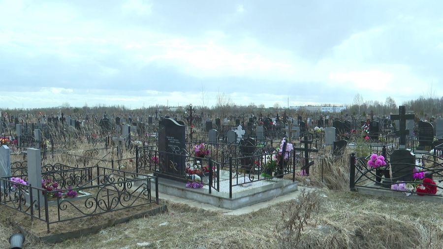 На кладбищах Ярославской области обустроят площадки для сбора отходов