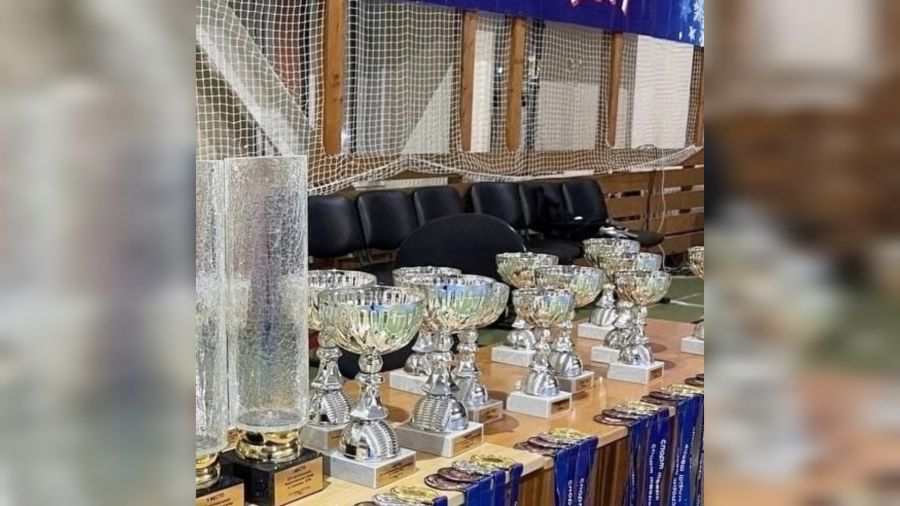 Спортсмены из Ярославской области завоевали 44 награды на турнире по тхэквондо