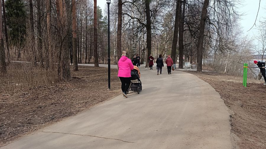 В Ярославской области почти три сотни многодетных мам вышли на пенсию досрочно