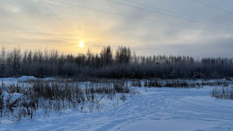 В последнюю неделю зимы ярославцев ожидают ночные морозы