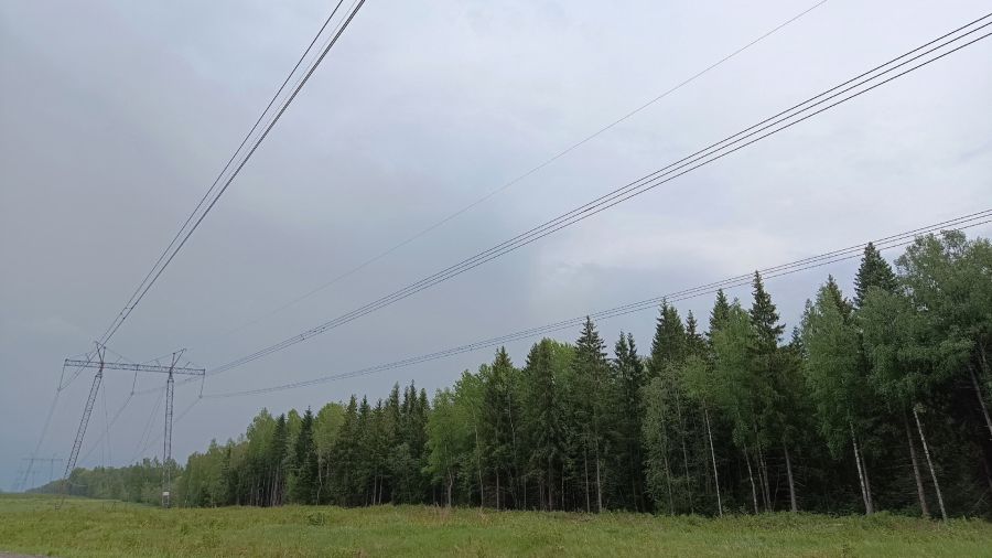 В ночь на субботу в Ярославской области ожидается ливень