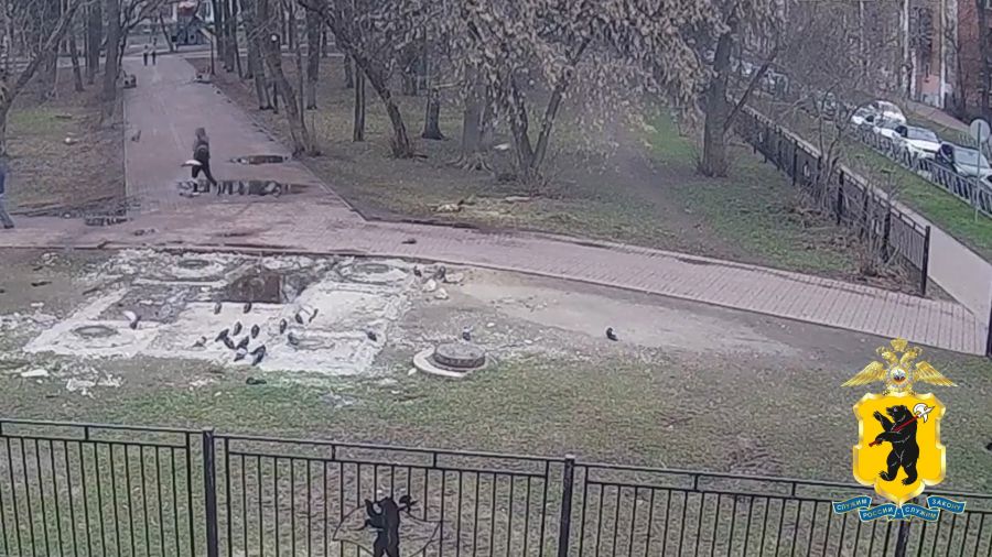 Кодовое слово &laquo;Кот&raquo;: в Ярославле полицейские задержали фигуранта дела о мошенничестве
