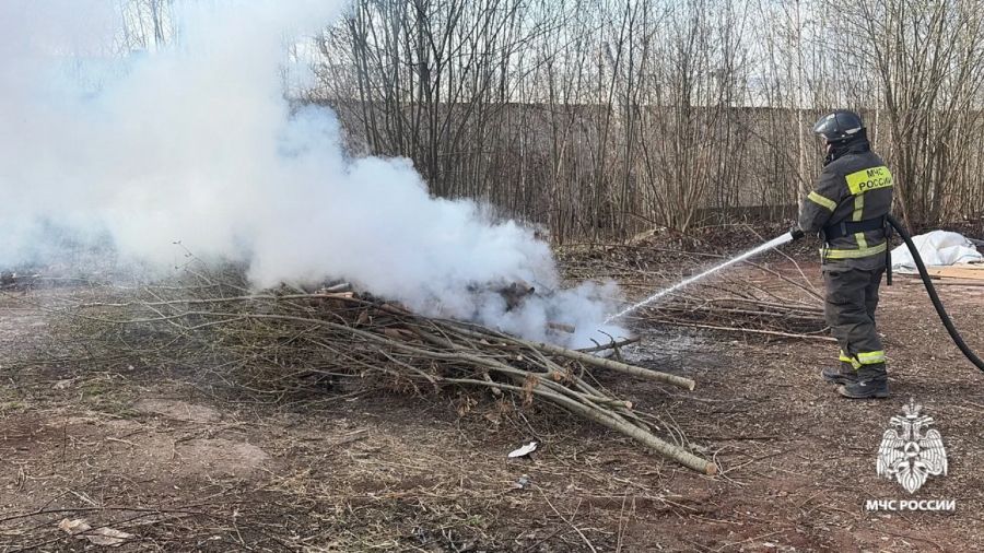 Ярославцев привлекли к ответственности за поджог травы и мусора