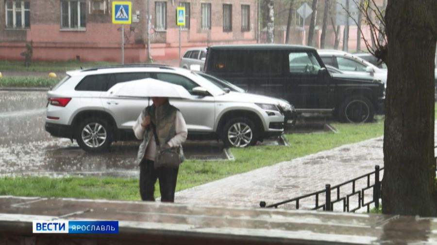 Жителей Ярославской области ожидают дожди и грозы
