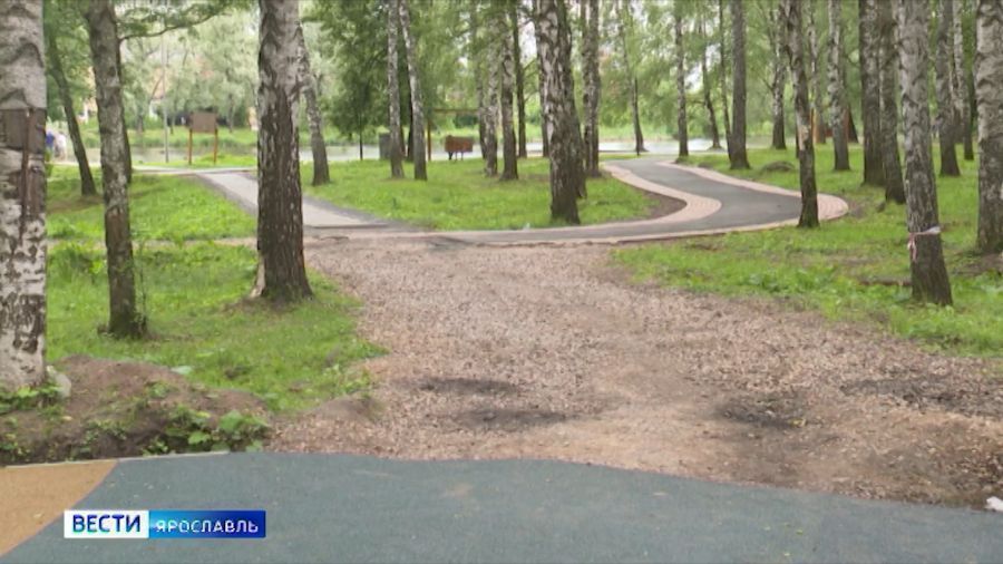Власти нашли подрядчика для благоустройства парка &laquo;Судостроителей&raquo; в Ярославле