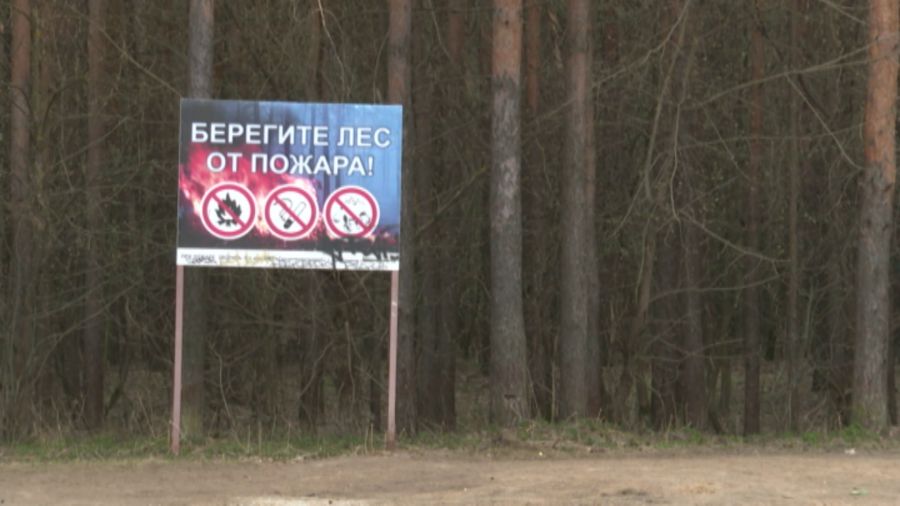 В Ярославской области из-за аномальной жары объявлен 4 класс пожароопасности