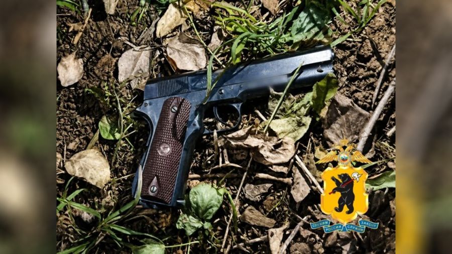 Житель Ярославля угрожал женщине пневматическим пистолетом