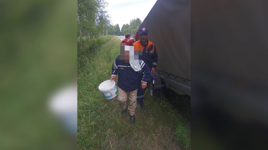 В деревне под Ярославлем в лесу заблудилась пенсионерка