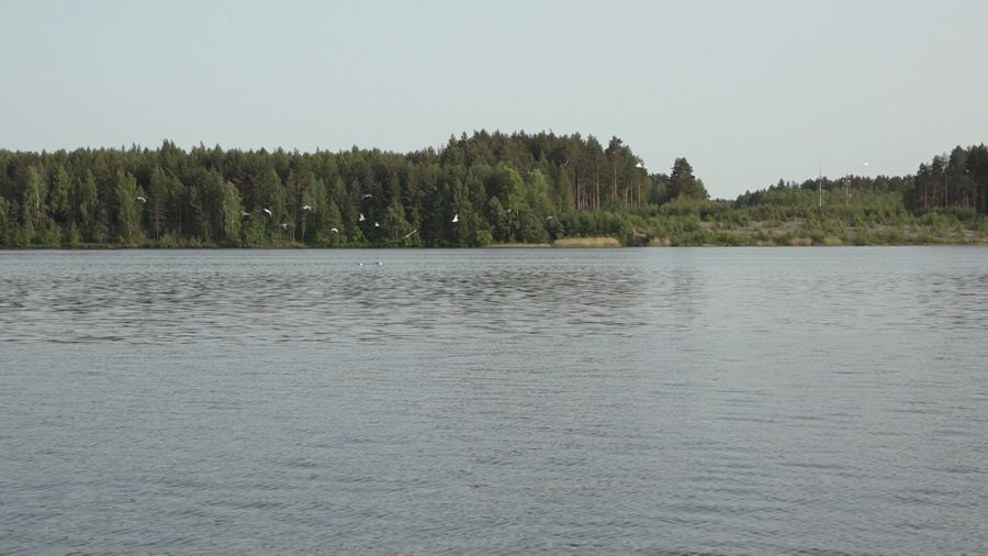 В Гаврилов-Ямском округе нашли тело утонувшего юноши