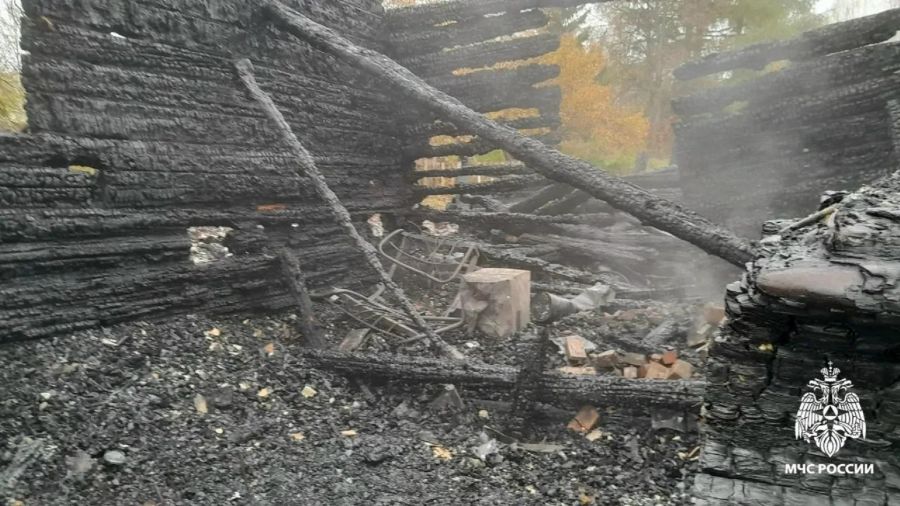 В МЧС назвали предварительную причину смертельного пожара в Угличском округе