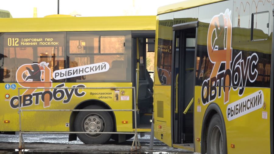 На улицы Рыбинска вышли 64 &laquo;Яавтобуса&raquo;