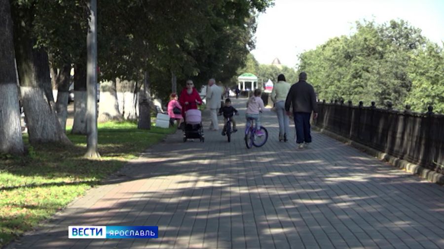 Выплаты за особые заслуги перед страной получают 65 жителей Ярославской области