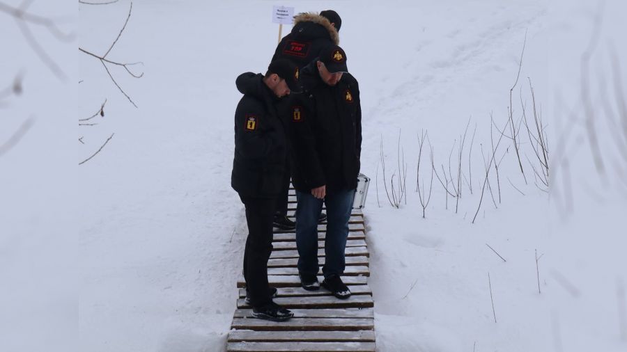 Ребенок получил травму при падении с моста в ярославском парке отдыха