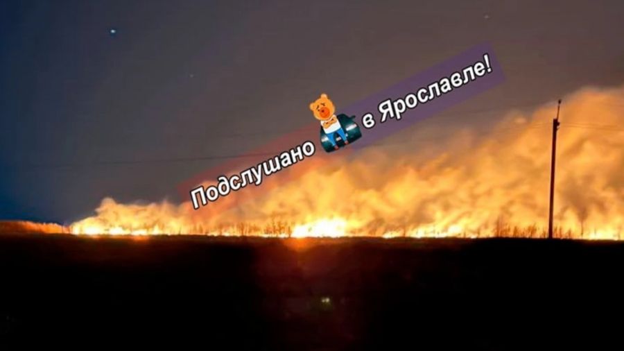 Под Ярославлем горела сухая трава