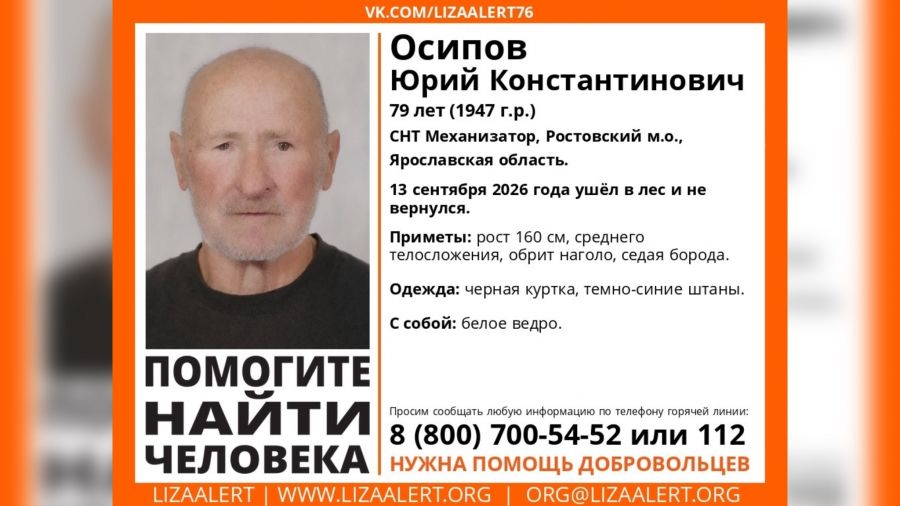 В Ярославской области 4 дня ищут пропавшего грибника