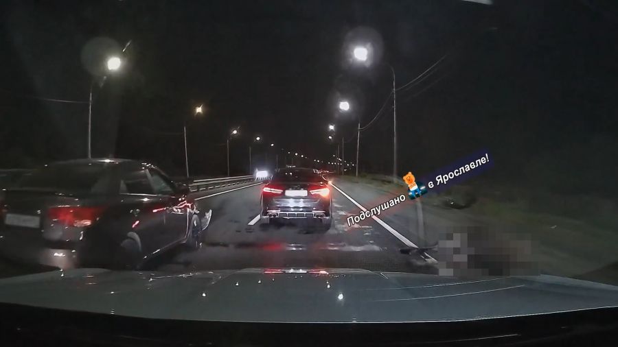На дороге в Заволжском районе Ярославля сбили лося