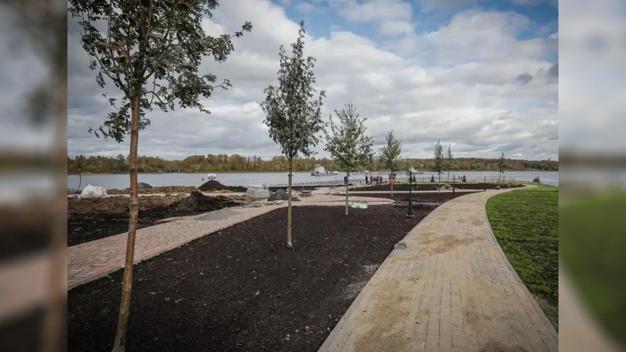 В Рыбинске в парке на Стрелке начали озеленение