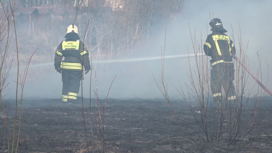 В Ярославской области введен особый противопожарный режим
