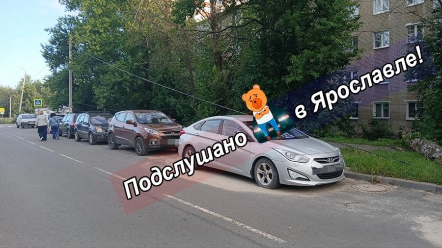 В Ярославле упало дерево и оборвало провода