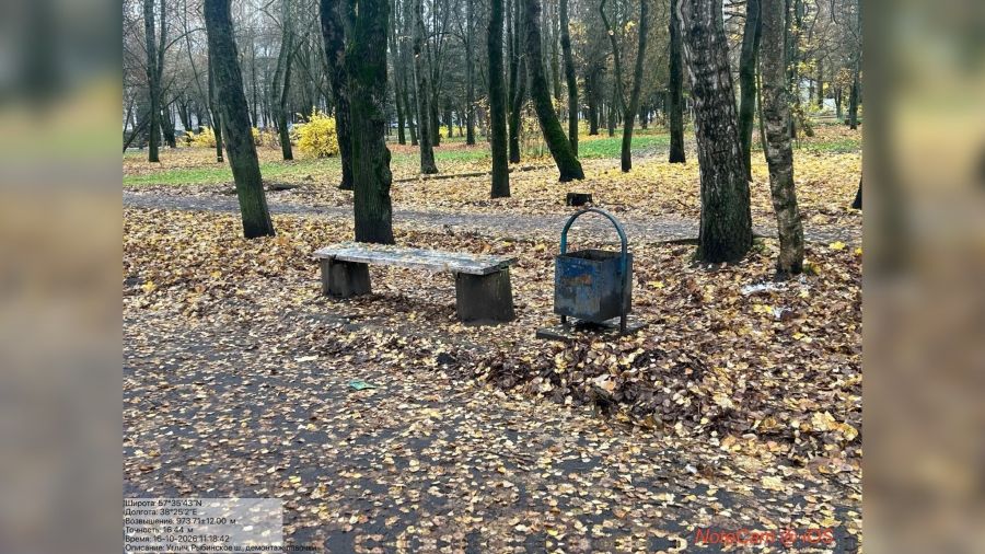 В Угличе обнаружили нарушения в содержании парка Часовщиков