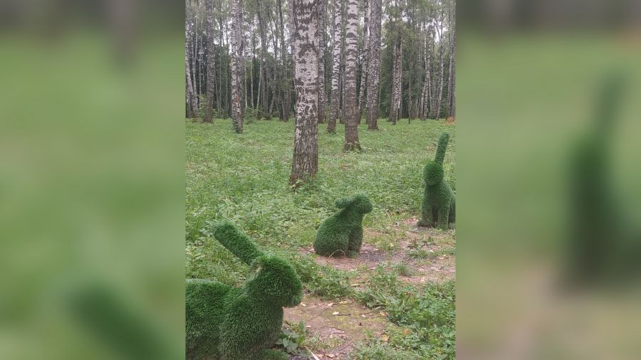 Вандалы испортили зону отдыха в Ярославском округе
