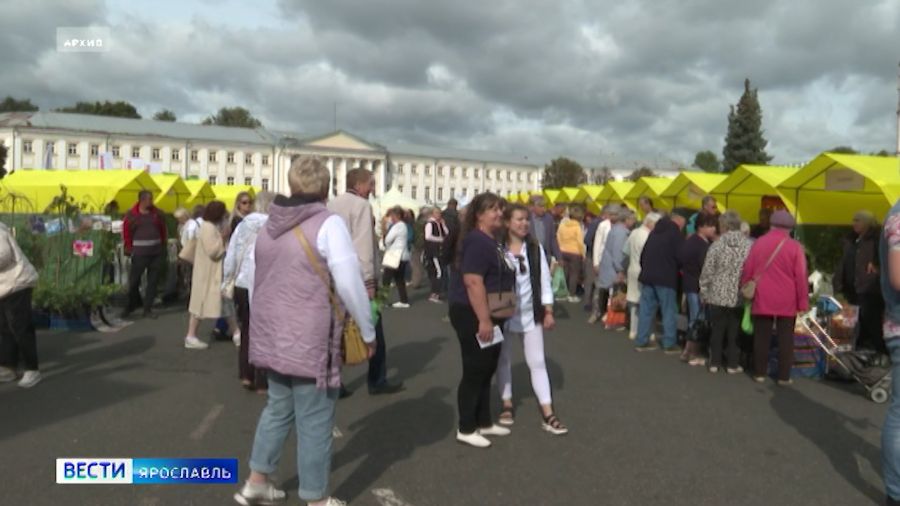 На Советской площади в Ярославле пройдет трехдневная ярмарка