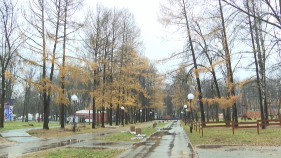 В центре Ярославля отменили карантин по бешенству