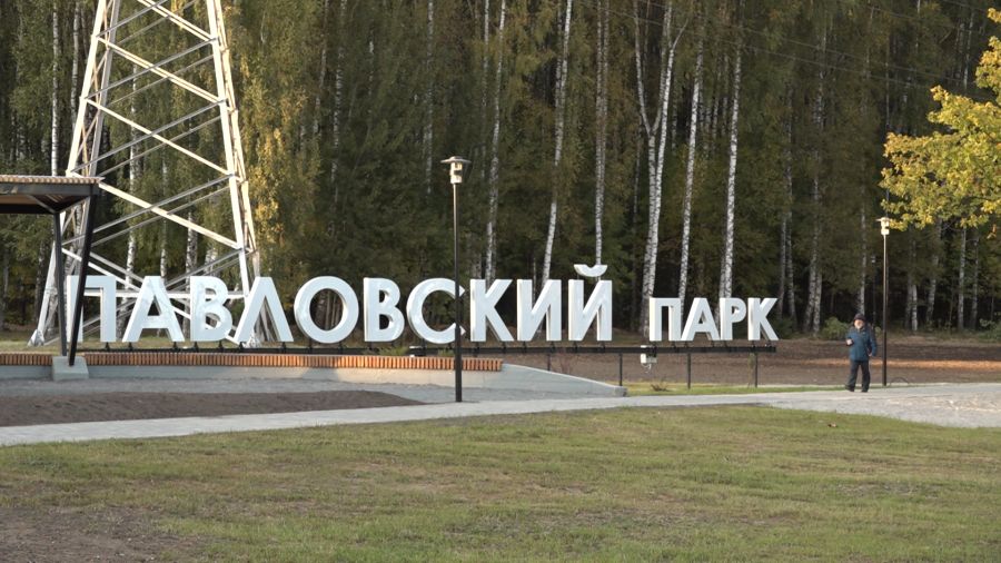 С бывшего подрядчика взыскали 8,7 млн за ущерб Павловской роще