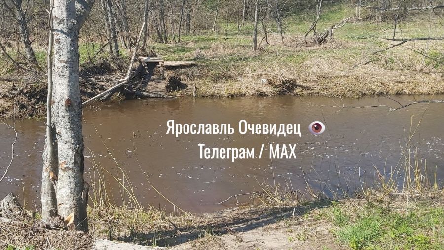 В Ярославской области во время паводка смыло отремонтированный мост