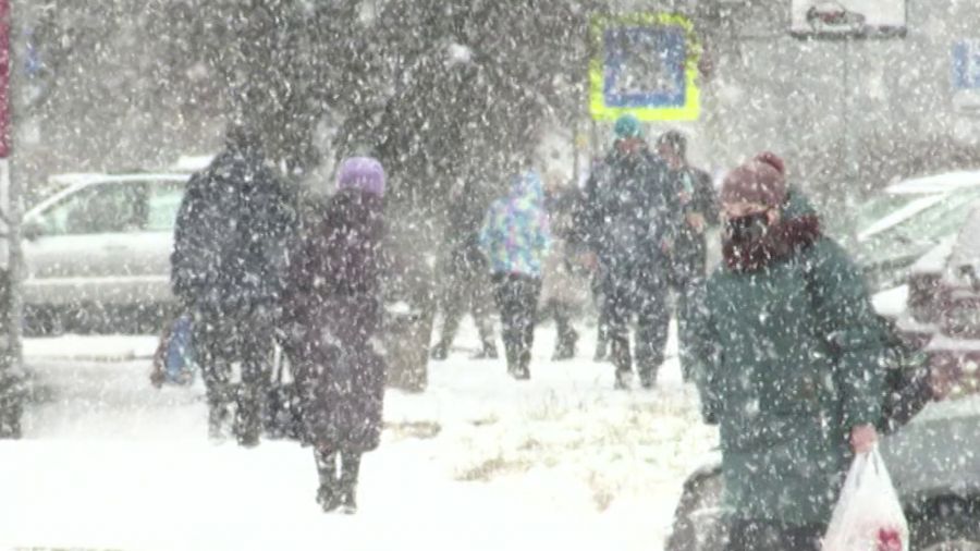 В Ярославль идут снегопады