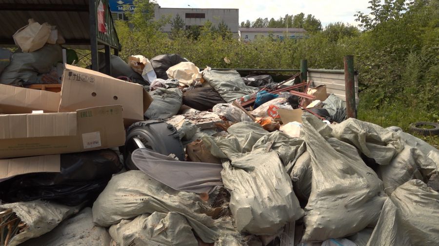В Ярославской области за год ликвидировали почти 80 незаконных свалок