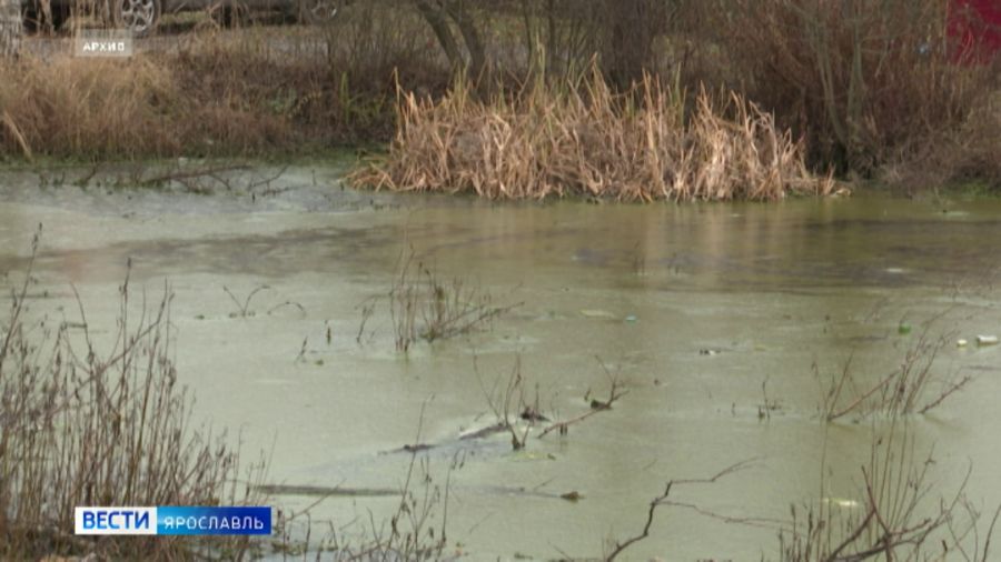 В Рыбинском округе приведут в порядок 13 пожарных водоемов