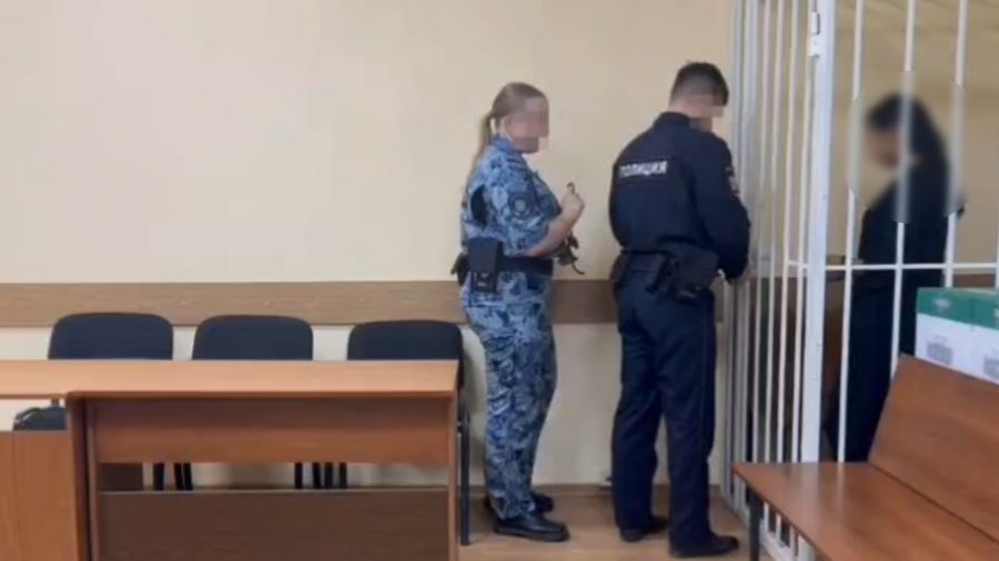 26-летней девушке грозит срок за кражу 30 тысяч рублей у пенсионерки в Ярославле