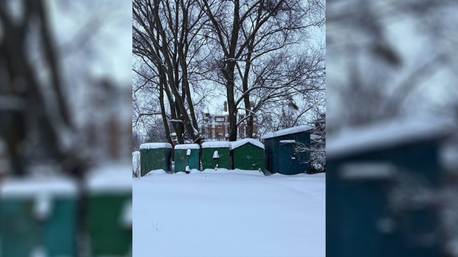 Власти Ростова Великого попросили убрать гаражи с берега озера Неро