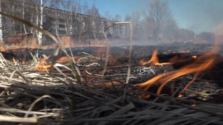 Больше 40 палов сухой травы случилось за сутки в Ярославской области