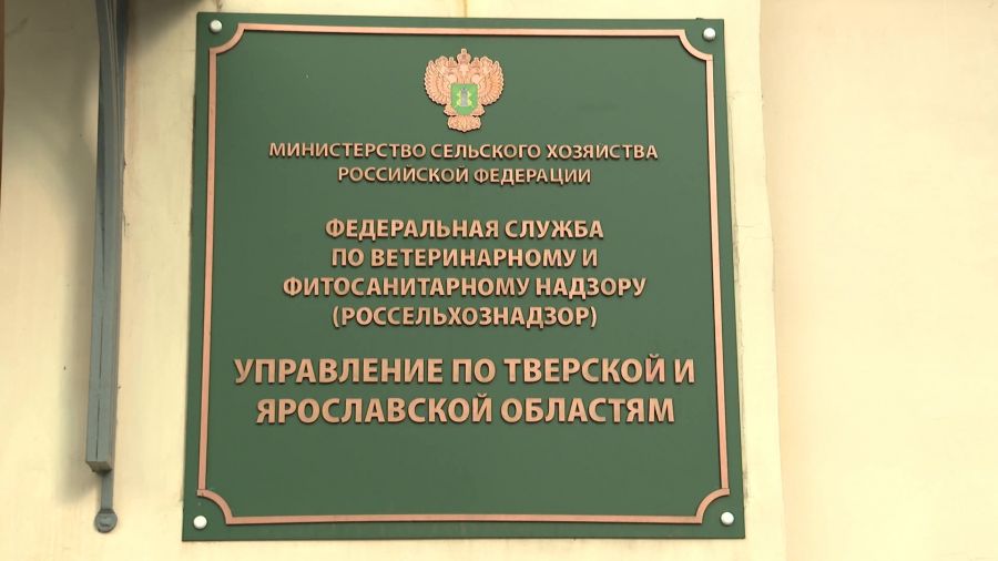 В Ярославской области землевладелец заплатит штраф за заросший участок